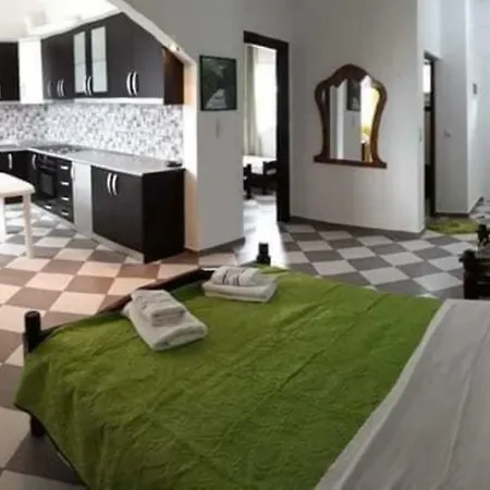 Hotel Henardi *